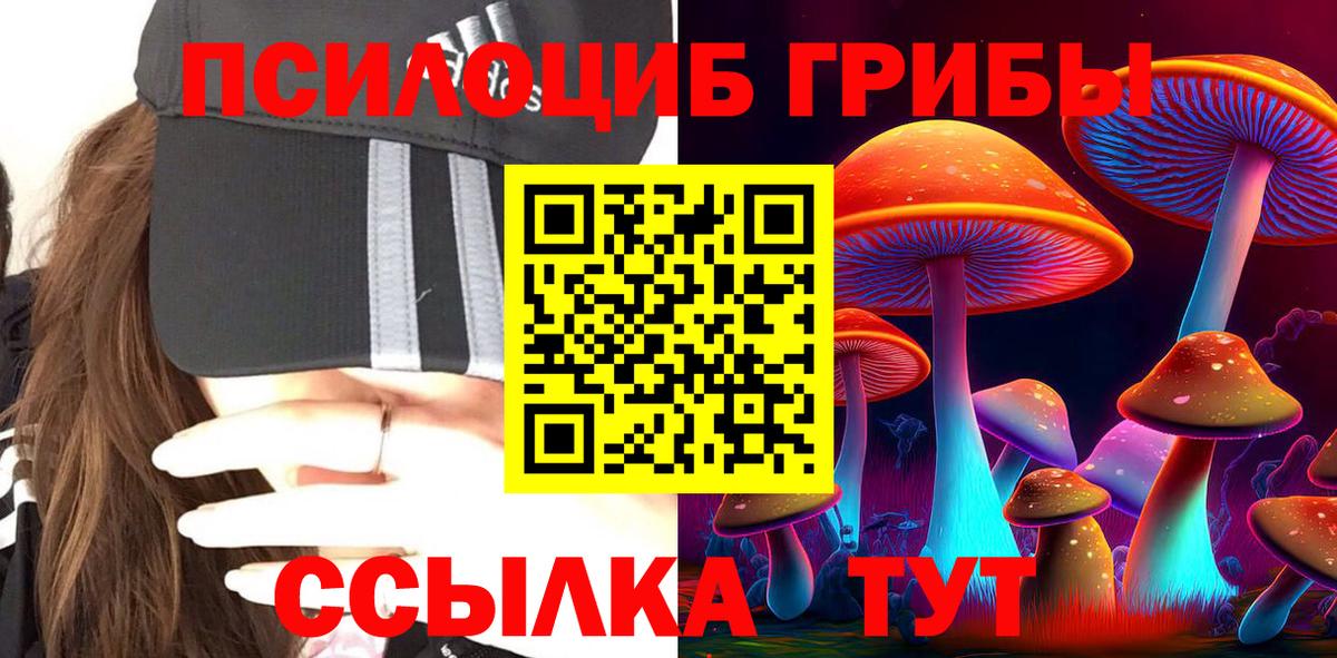 Омск  Псилоцибиновые грибы Magic Shrooms  как найти закладки  Вход с VPN 